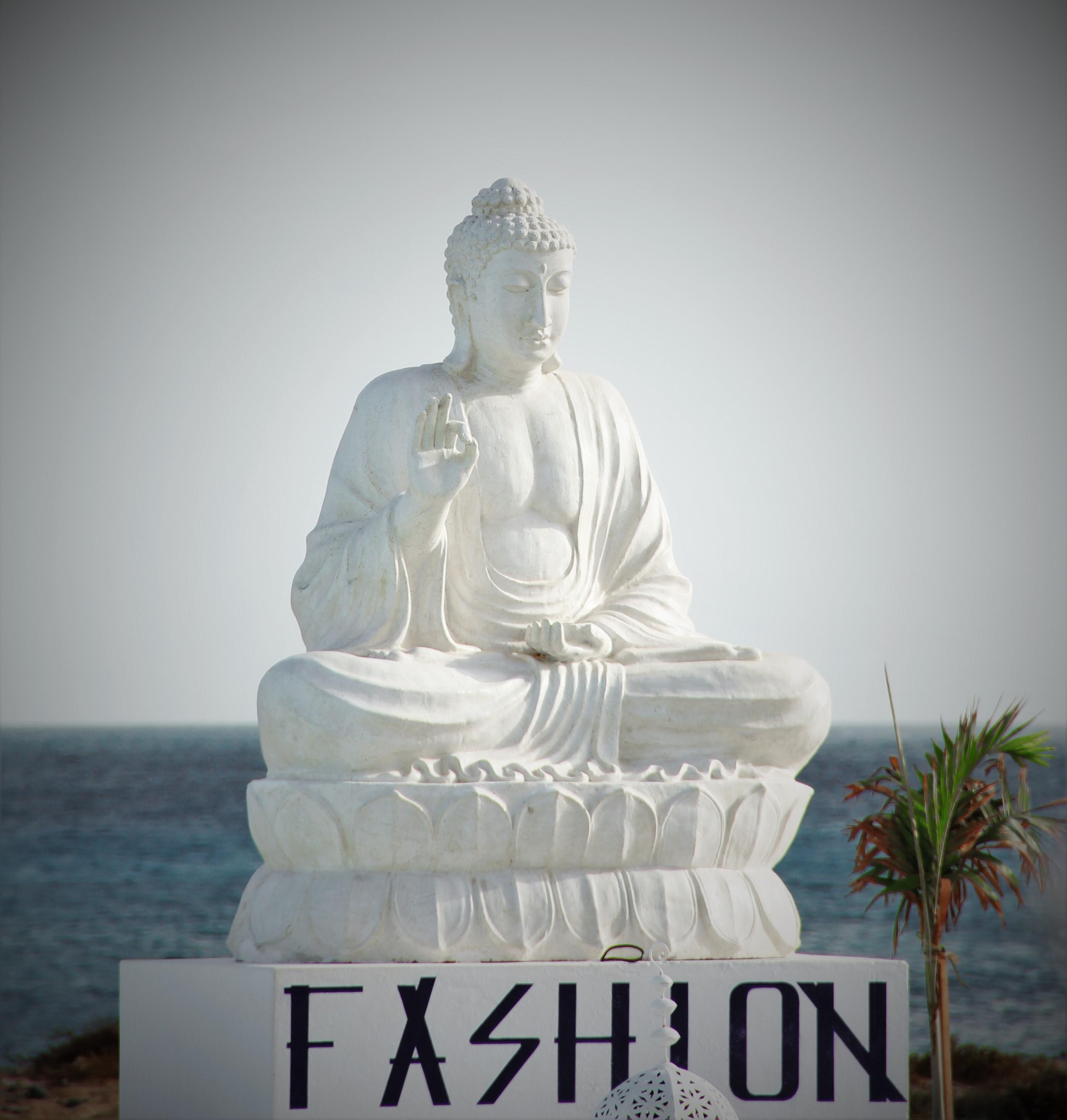 Hotel Livvo Budha Beach 산타 마리아 외부 사진